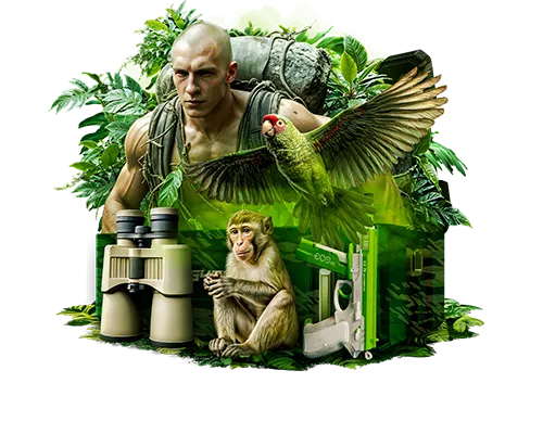 2_RAINFOREST_RECON